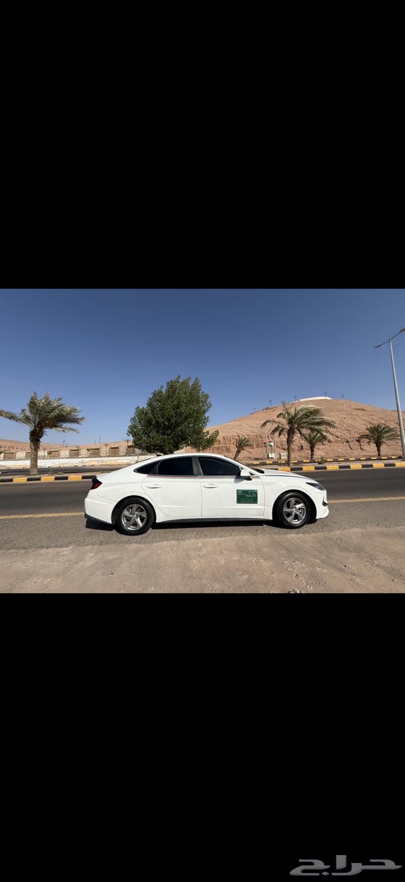 عمان تبوك الاردن السعويه64196336557313110