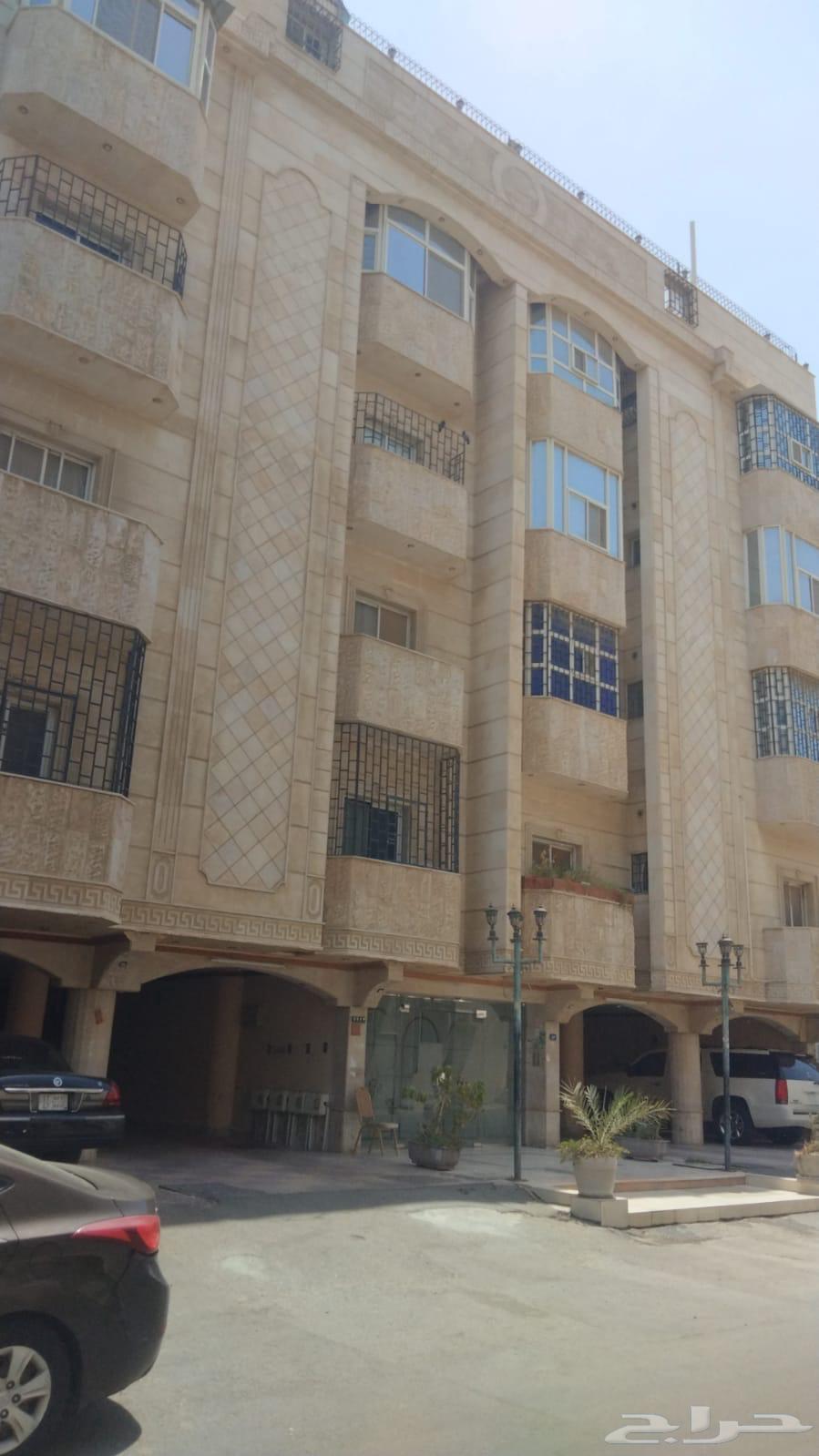 شقة للإيجار