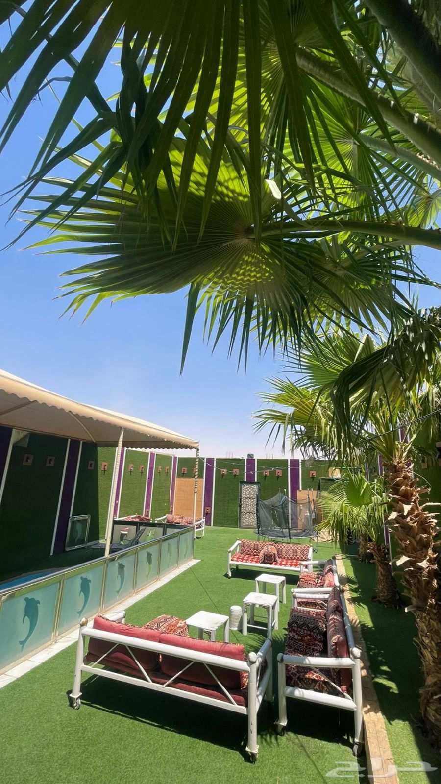 شاليهات جنوب الرياض 30064157953467777110