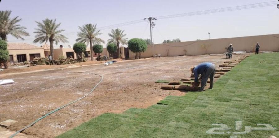 تنسيق حدائق وشلالات ونوافير64163698560643114