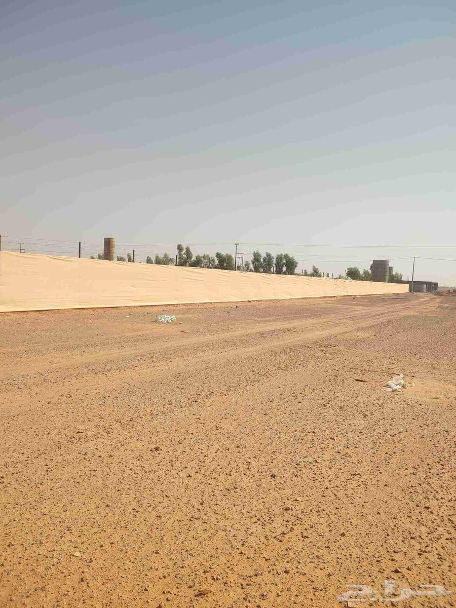 تركيب شبوك64166421050369111