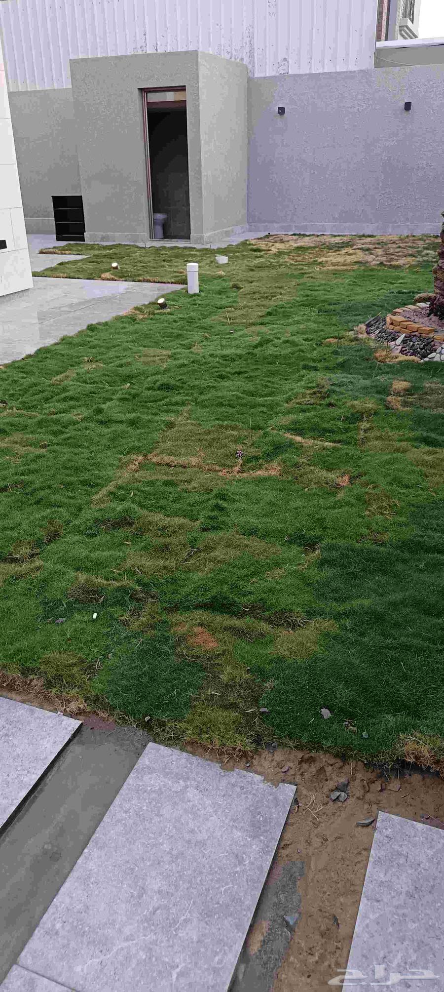 ابومحمد لتنسيق الحدائق64167032494978112