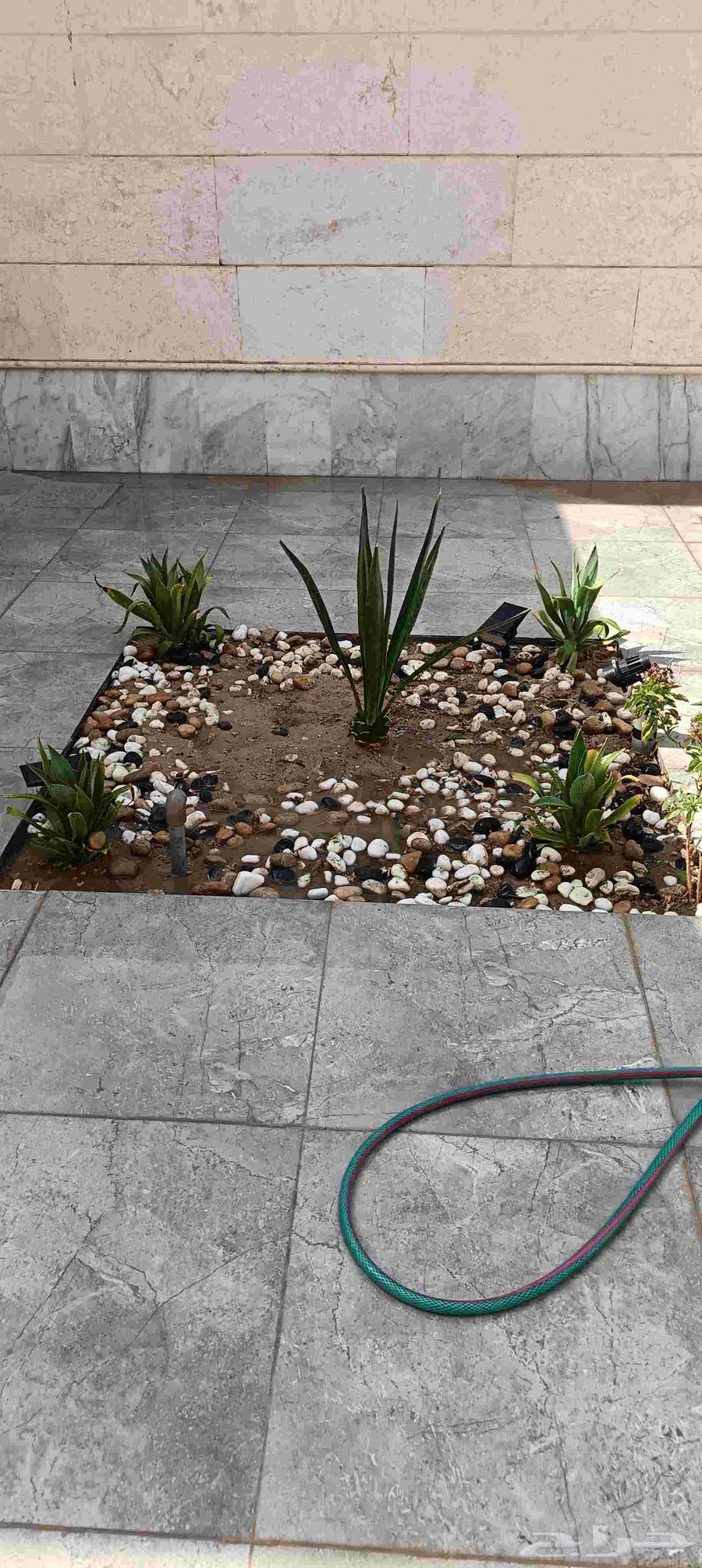 ابومحمد لتنسيق الحدائق64167032494978114