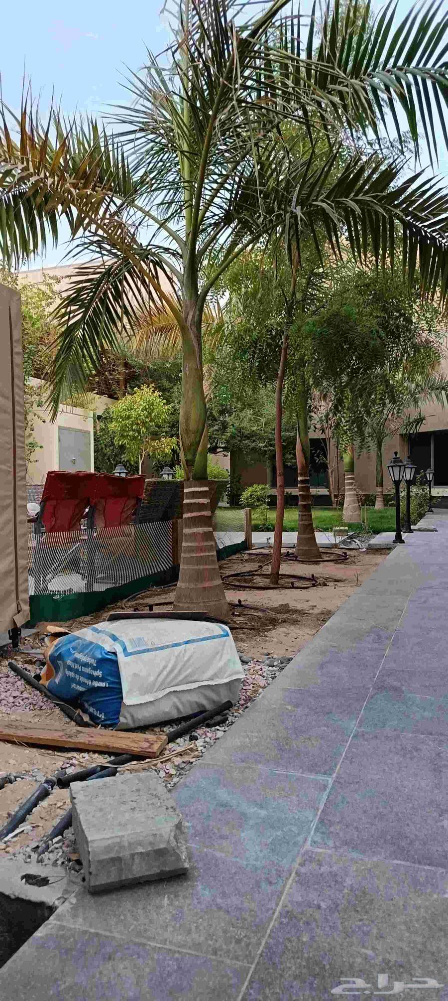 ابومحمد لتنسيق الحدائق64167032494978113