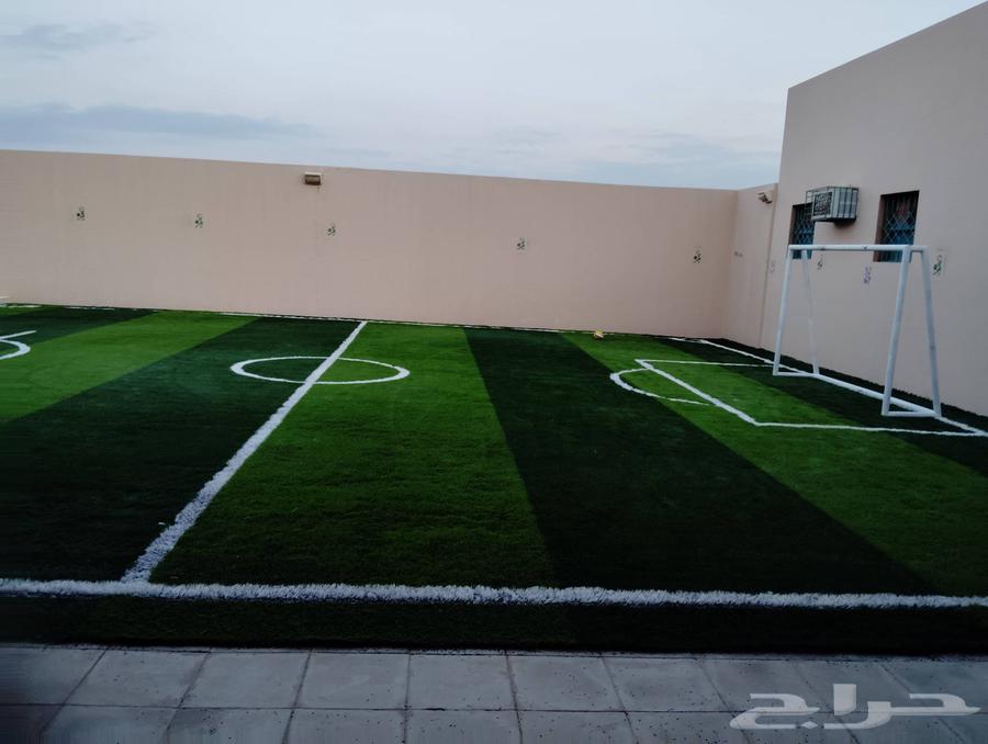 Engineer Mohamed coordinates the installation of irrigation networks for all trees64167249458945112