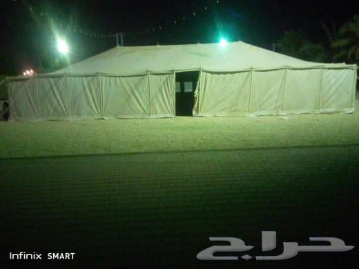 تركيب بيت الشعر64167029127939113
