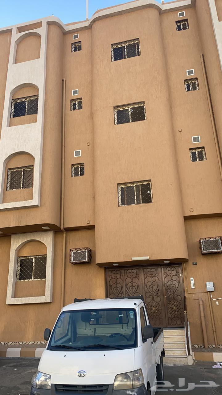 مقاولات عامه وتشطيب64166820065026114