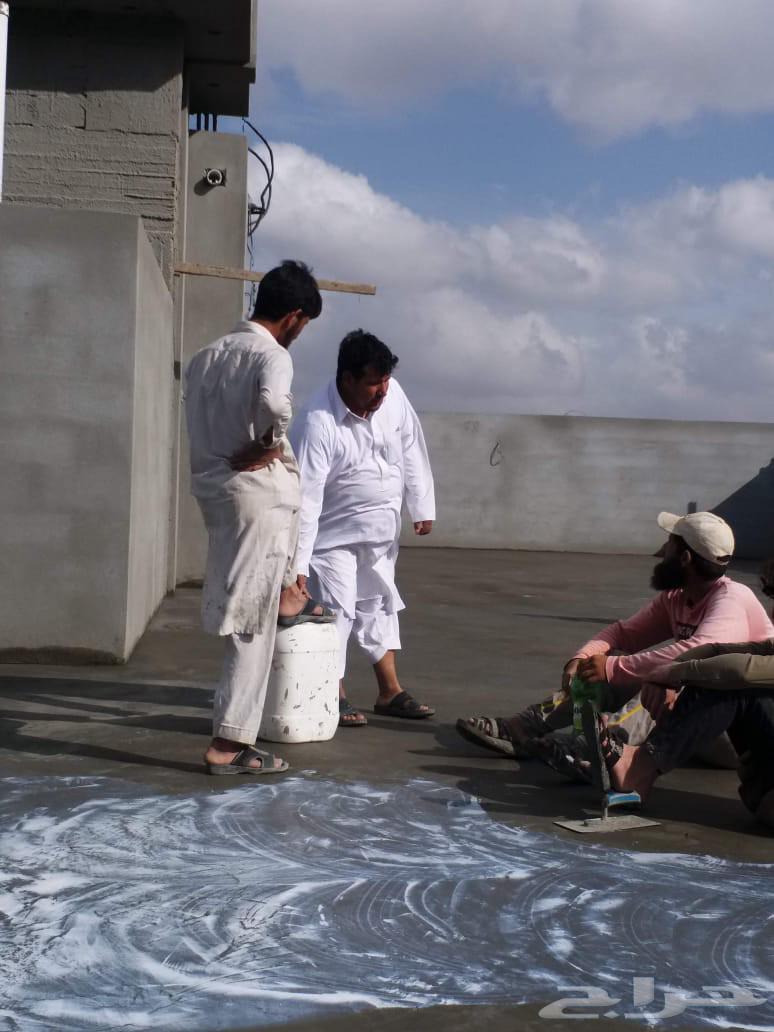 Fan casting for young balance epoxy box paint with without module module64166418859777110