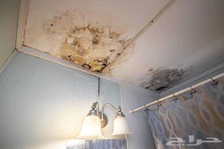 كشف تسربات المياه بدون تكسير كشف تسريب المياه عزل اسطح وخزان64592081681667113