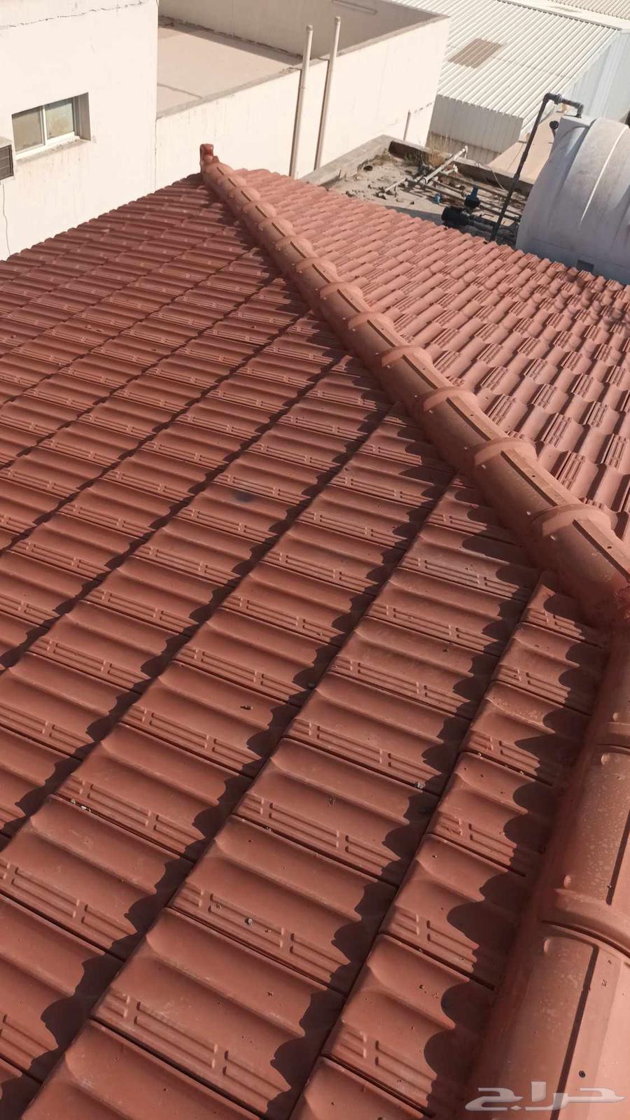 قرميدمشبات تبوك64197809945218111