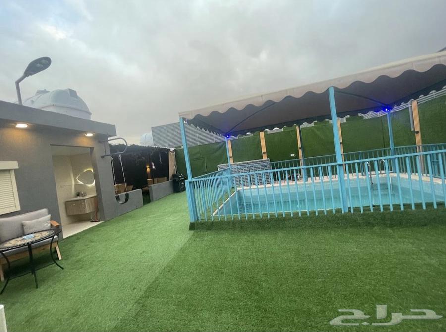 شالية قسمين سنوي 50 الف64158558994433114