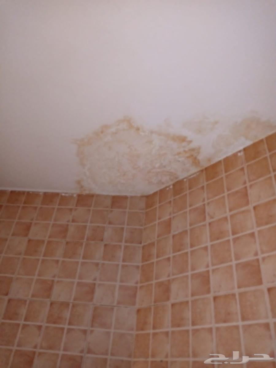 كشف تسربات المياه بدون تكسير كشف تسريب المياه عزل اسطح وخزان64592081681667111