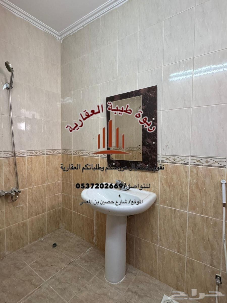 شقة للإيجار