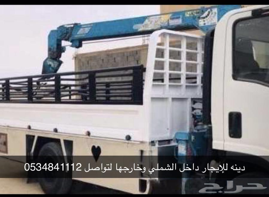 دينا مشاوير نقل الإبل داخل الشملي وخرجها64198458316929110