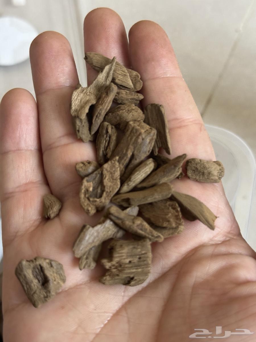 (تم البيع)64419932676866112