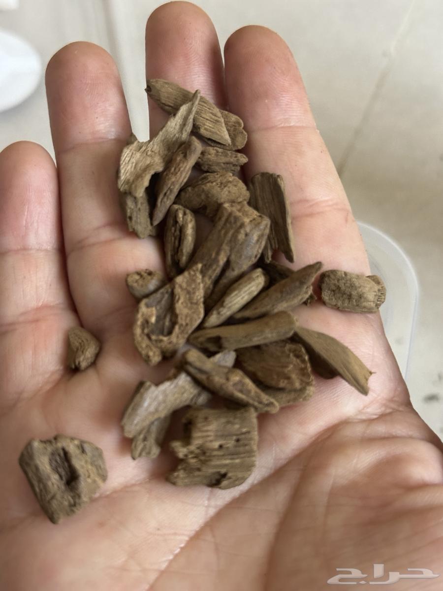 (تم البيع)64419932676866114