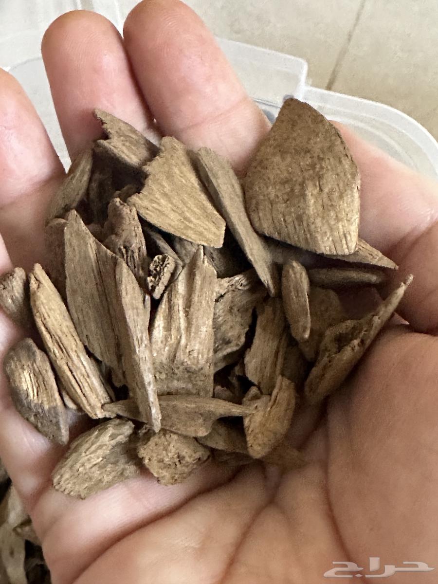 (تم البيع)64419932676866111