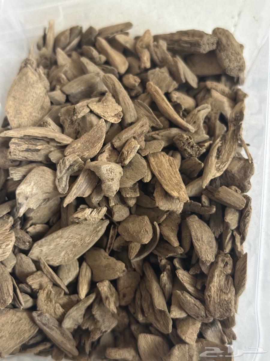 (تم البيع)64419932676866113