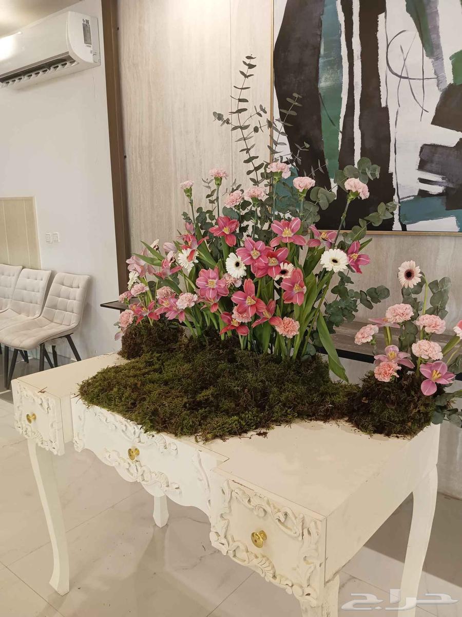 منسق حفلات تنسيق مستشفى تنسيق ملكه زواج مواليد خبره العمر 2864198685237889114