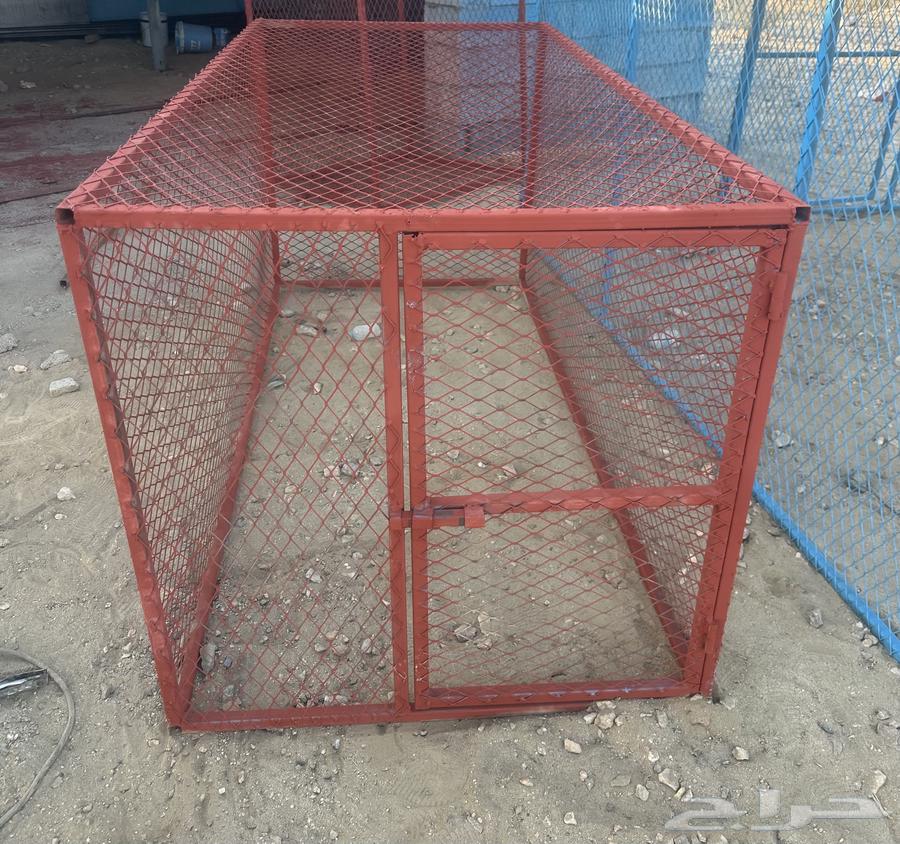 شبوك64196534336899113