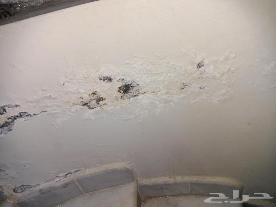 كشف تسربات المياه بدون تكسير كشف تسريب المياه عزل اسطح وخزان64592081681667112