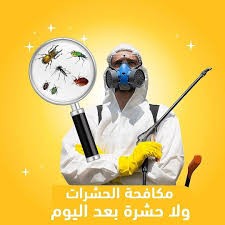 Pest Control in Riyadh, Pest Spraying in Riyadh64197163063297112