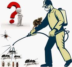Pest Control in Riyadh, Pest Spraying in Riyadh64197163063297111