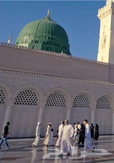 تنظيم عمرة والمدينة وتجديد الزيارات64198458185986111