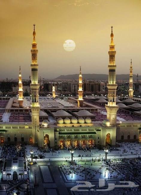 تنظيم عمرة والمدينة وتجديد الزيارات64198458185986110