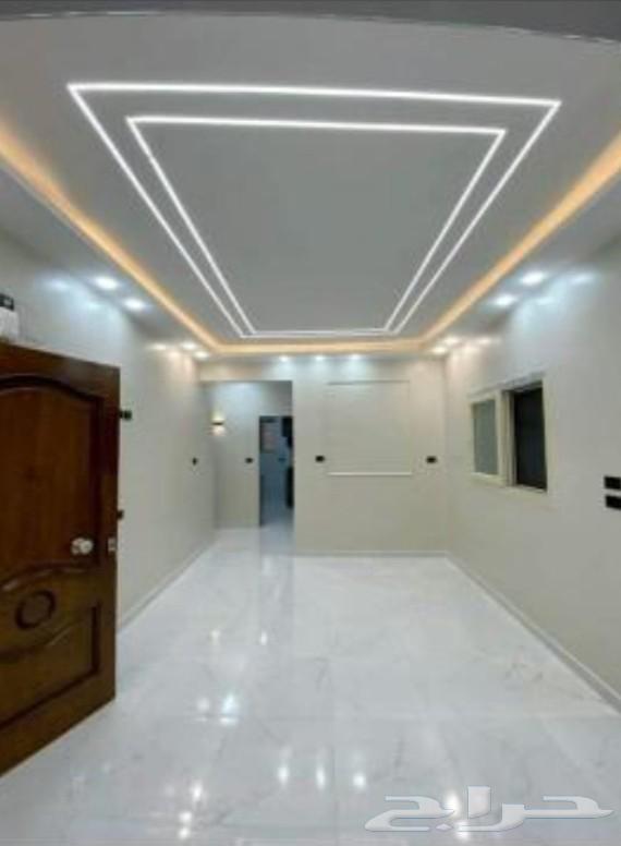 دهان بسعر في متناول الجميع64516016741251111