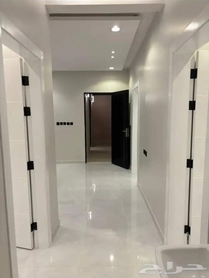 دهان بسعر في متناول الجميع64516016741251110