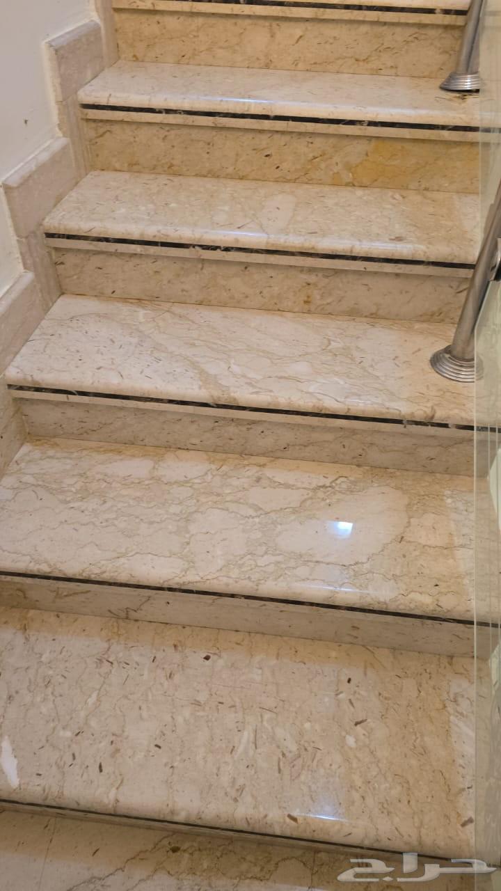 جلي بلاط64197578871169114