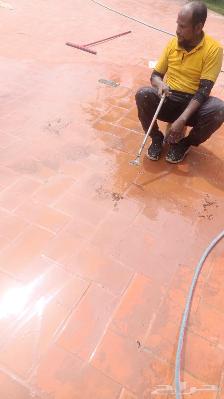 معلم باكستاني شغل سراميك حجر بلاط64197806958081112