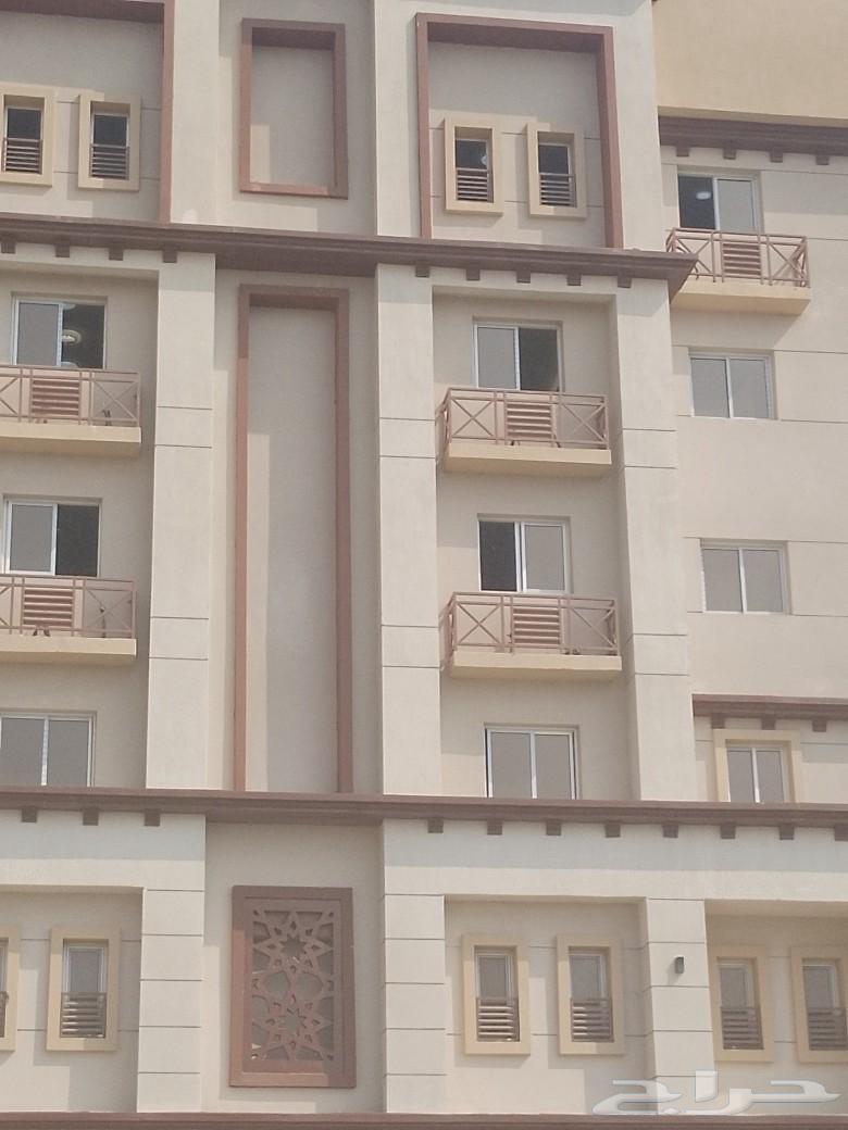 معلم دهانات بمكه المكرمه64197579836034112