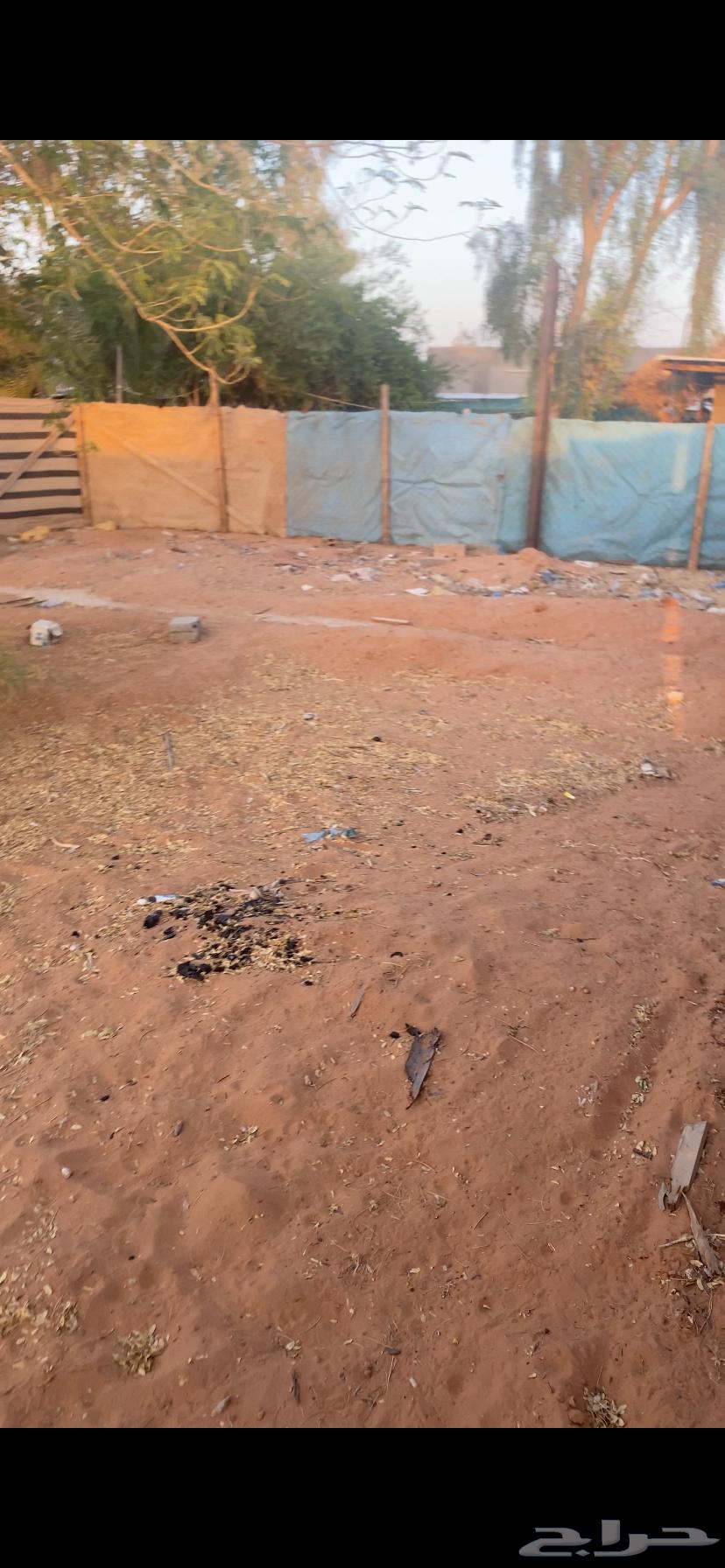 حوش للحلال للاجار الرحمانيه الهياثم64158776040321113