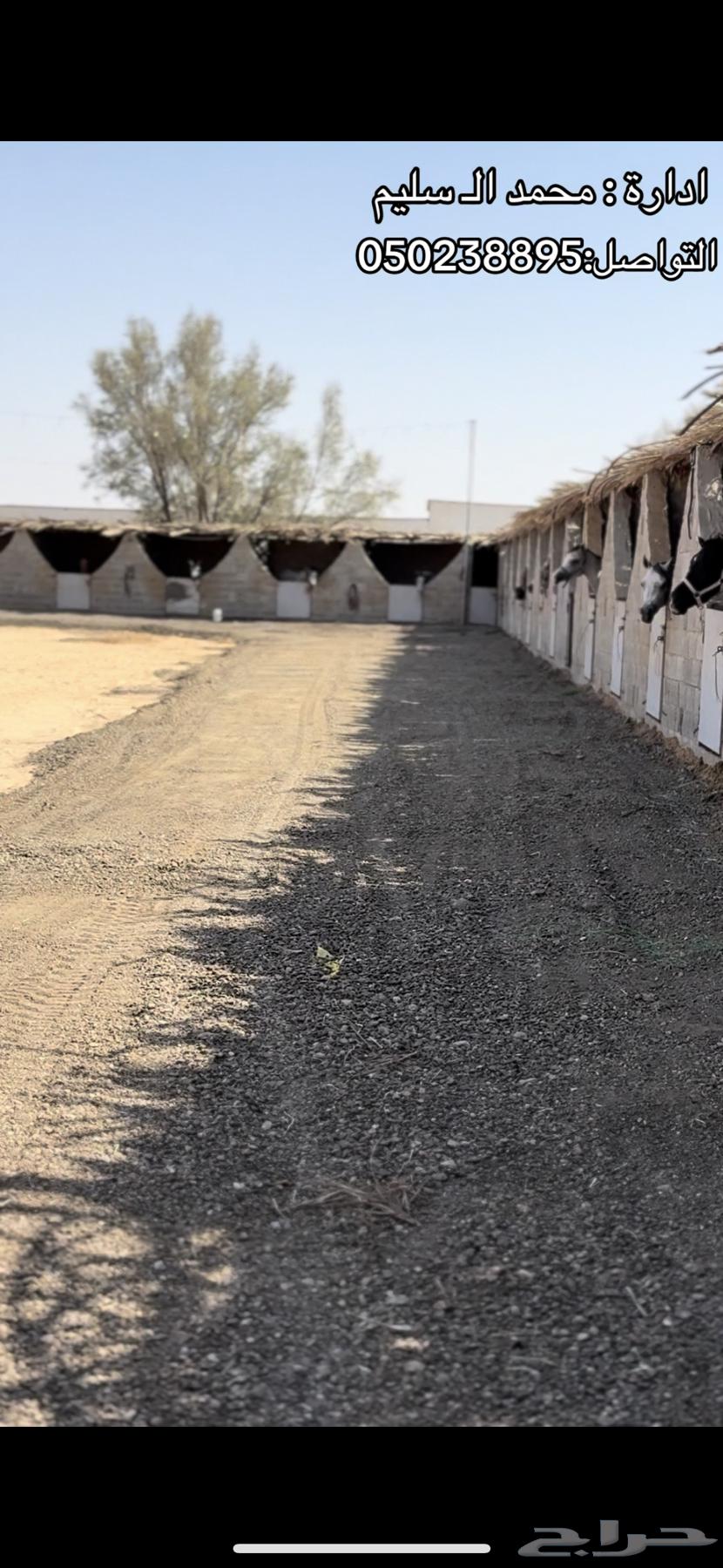 أعمال أسفلت حار و بارد مبشور64197578026627114