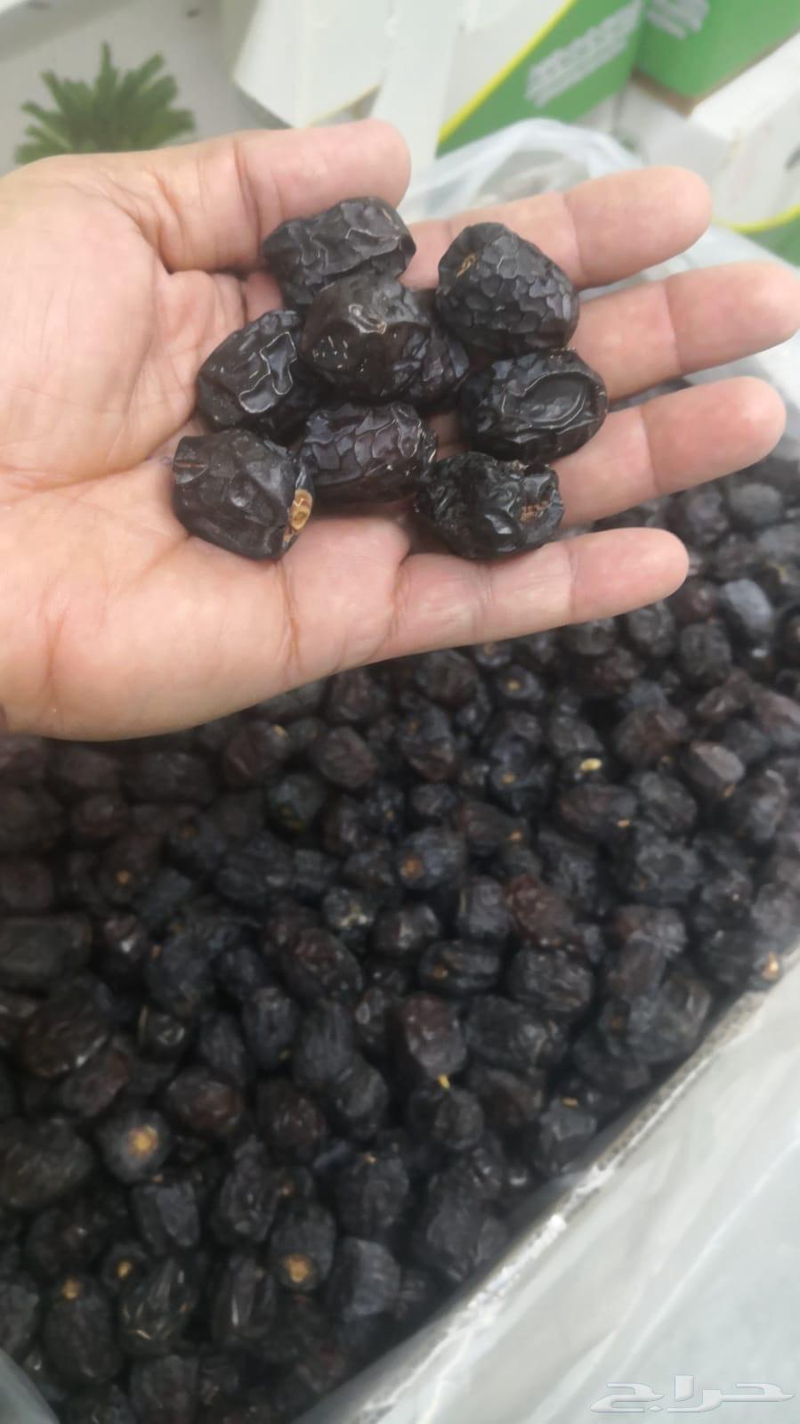 تمر عجوه للبيع64561488749442112