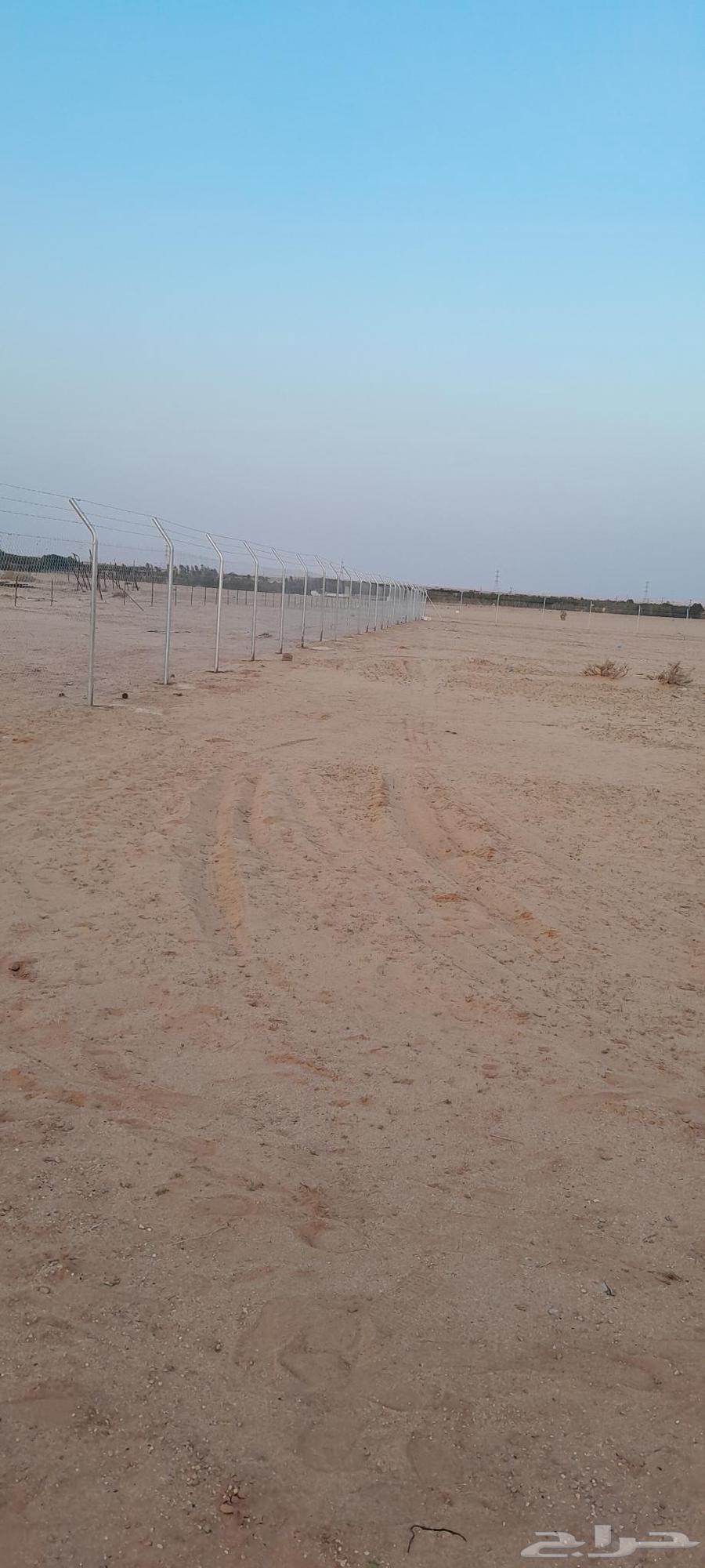 تركيب شبوك64198684296961113