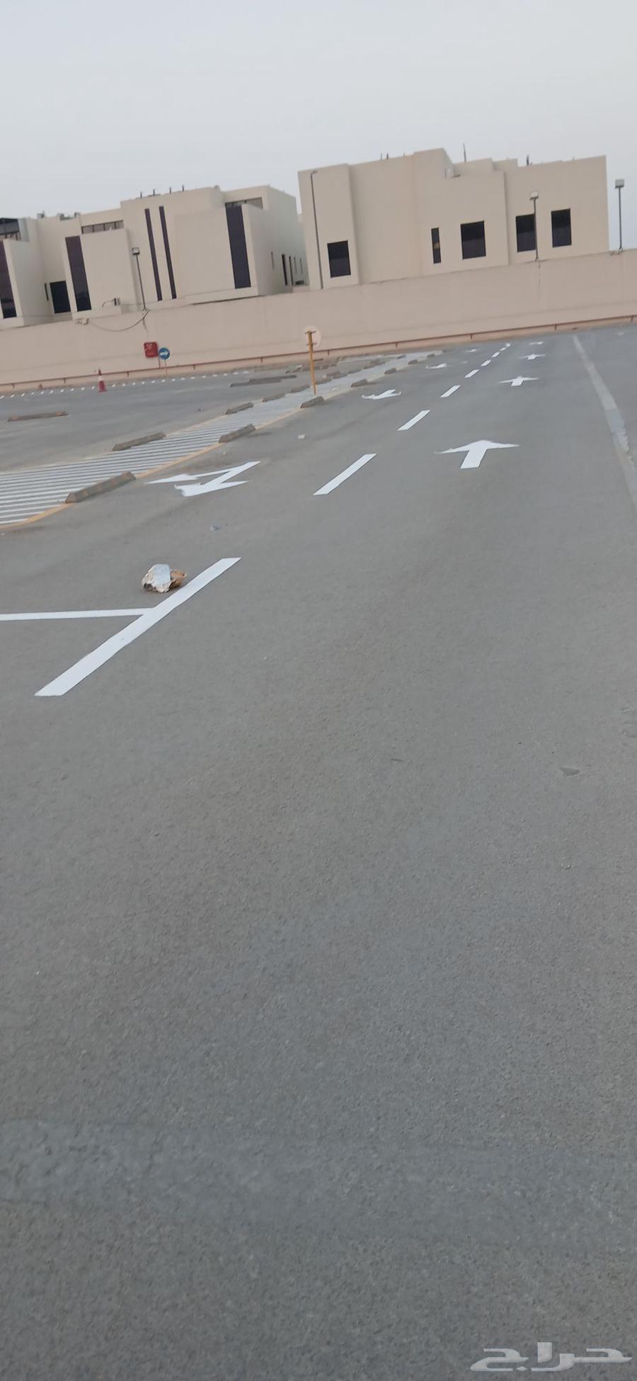 معلم دهانات المهديه64188122882947112