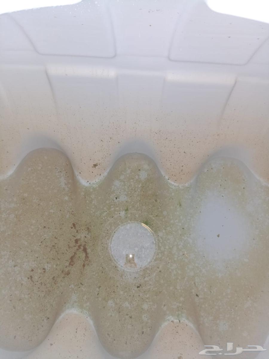 شركه تنظيف حفرالباطن64197806810113113