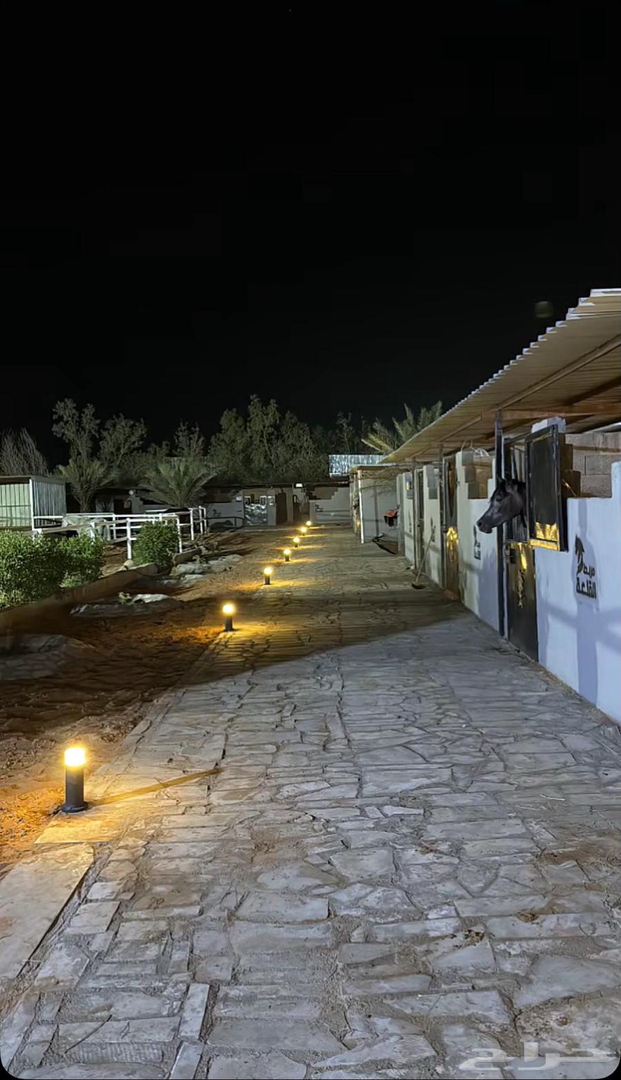 مربط إيواء64199558398979110