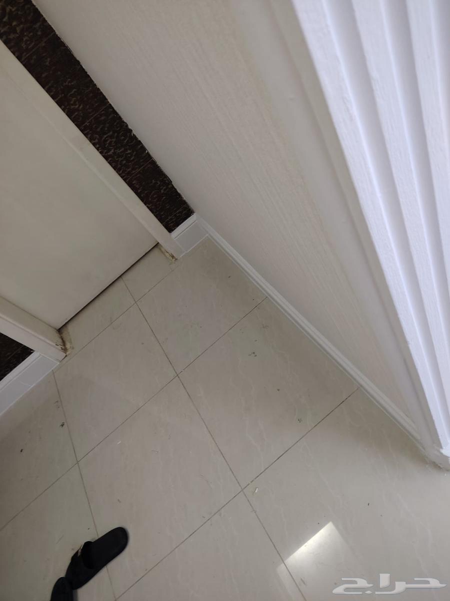 معلم دهانات معلم بويات وبديل الشيبرد باركيه اس بي سي64592129905025110