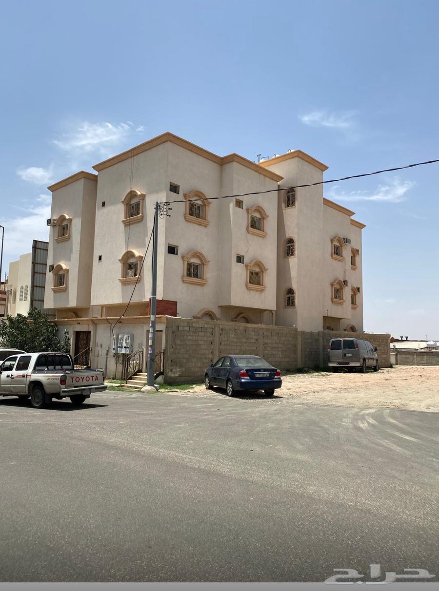 شقة للإيجار