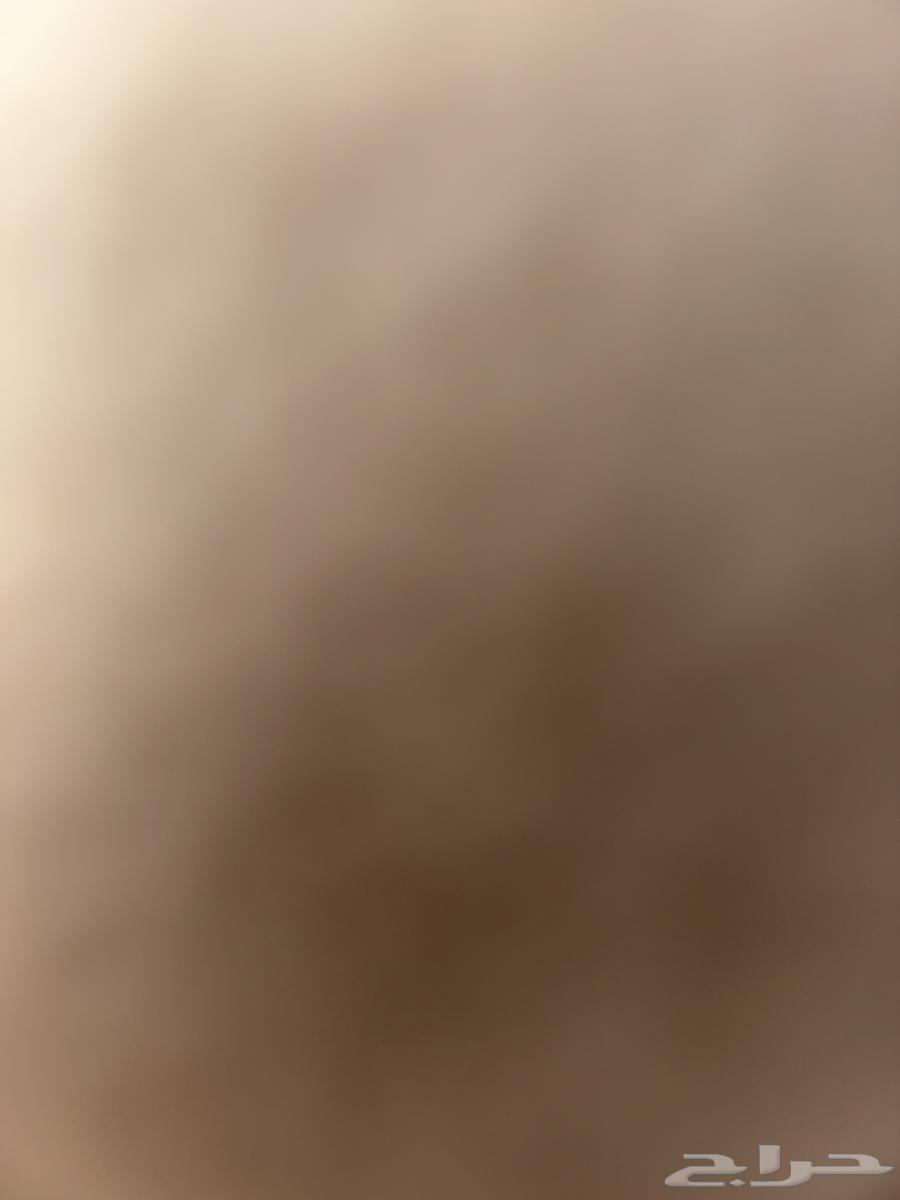 عروض غداء وعشاء64200631010179110