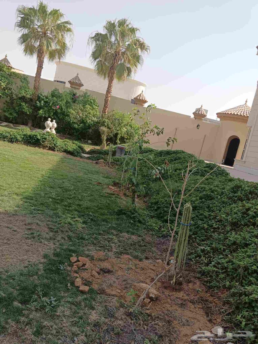 تنضيف وتكريب64224163577729112