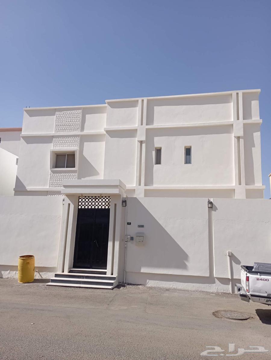 دهانات معلم حايل64200204797315113