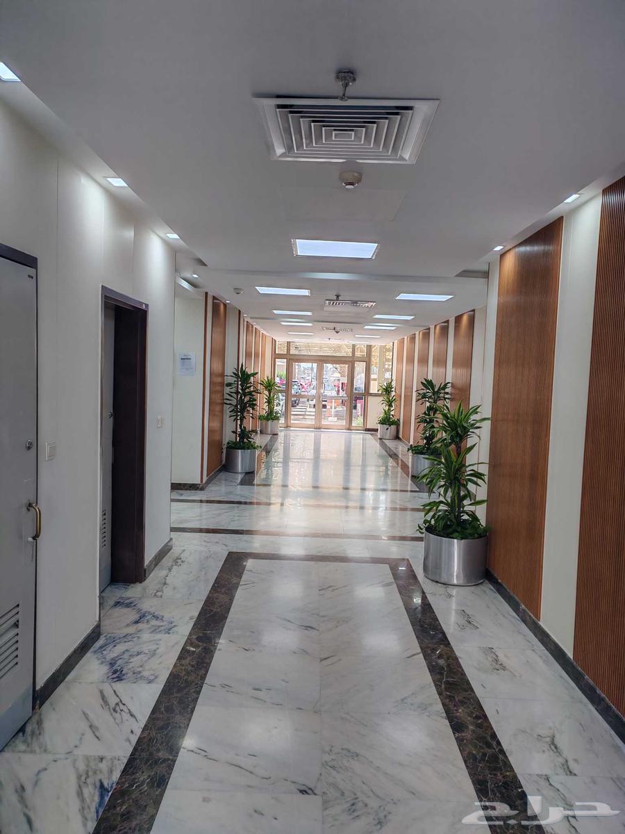 معلم دهانات معلم بويات وبديل الشيبرد باركيه اس بي سي64592129905025112