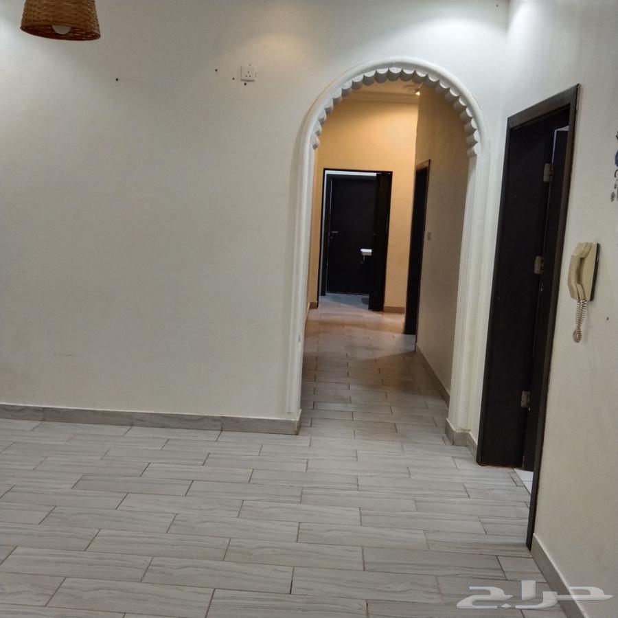 شقة 6غرف للاجار حي السنابل 264159210622083114