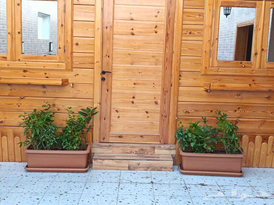 تنسيق حدائق جده ومكه64199111724674112