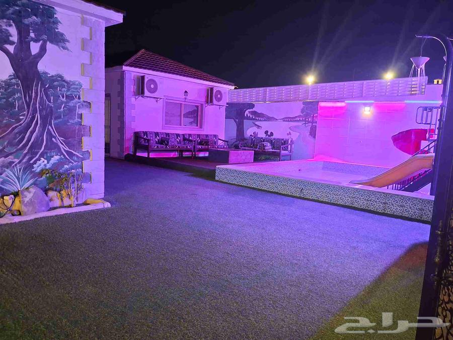 استراحة كبيرة للمناسبات مسابح والعاب مائية ملعب طايرة64159483688449114